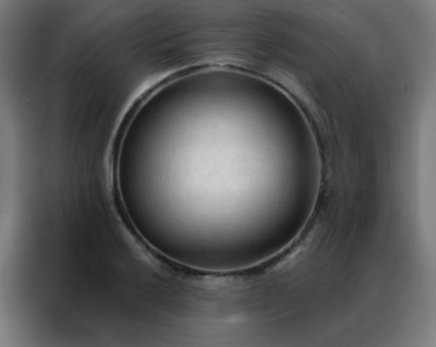 X0000088221032200705221759