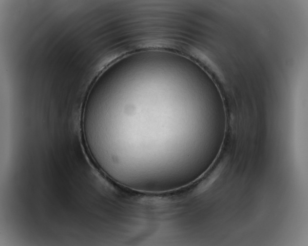 X0000088221033200705221759