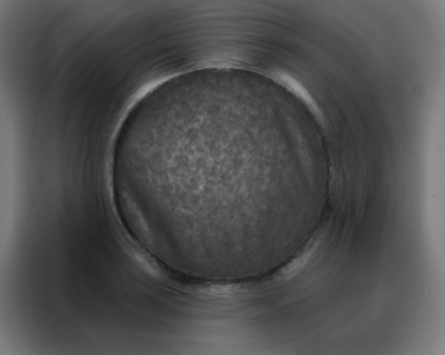 X0000088221035200705221759