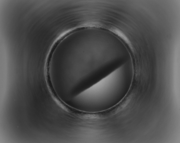 X0000088221037200705221759