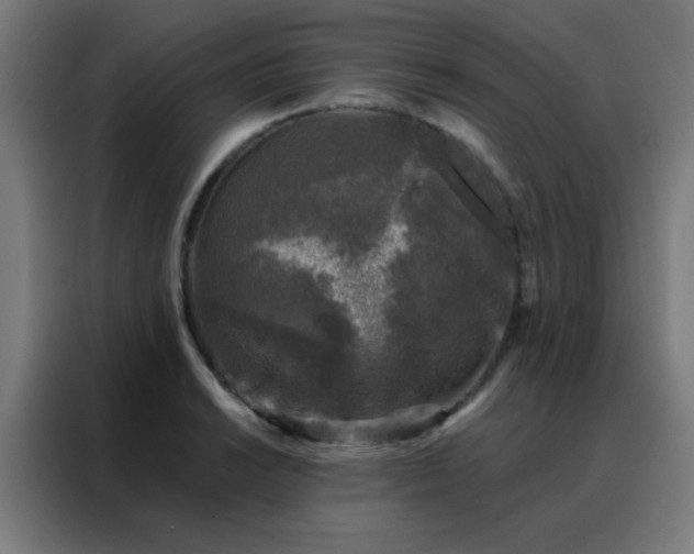 X0000088221038200705221759