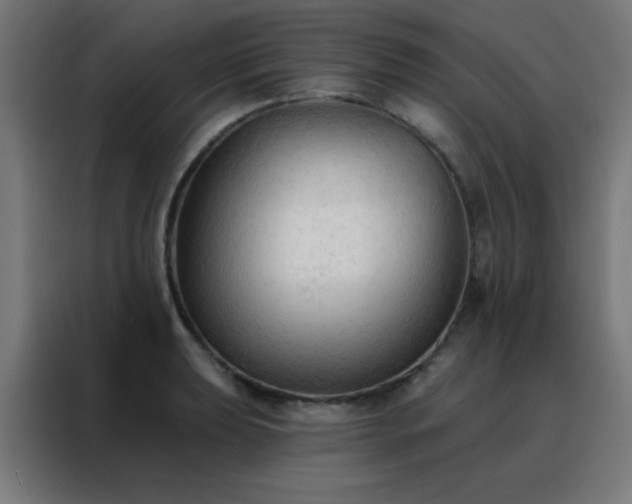 X0000088221039200705221759