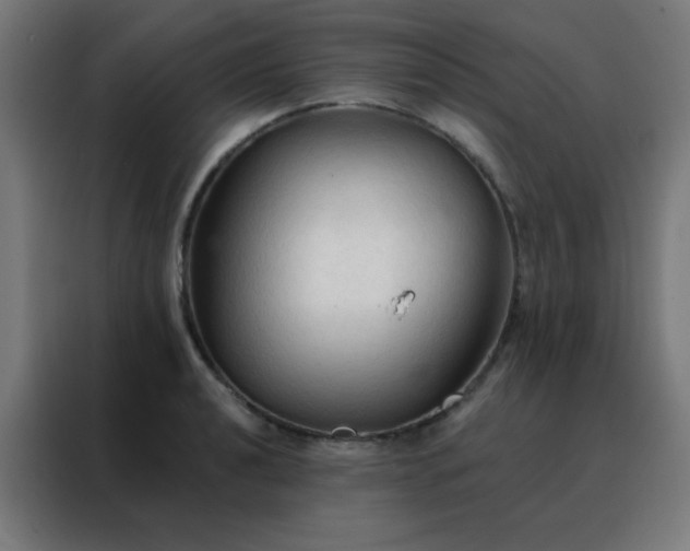 X0000088221040200705221759