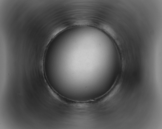 X0000088221041200705221759