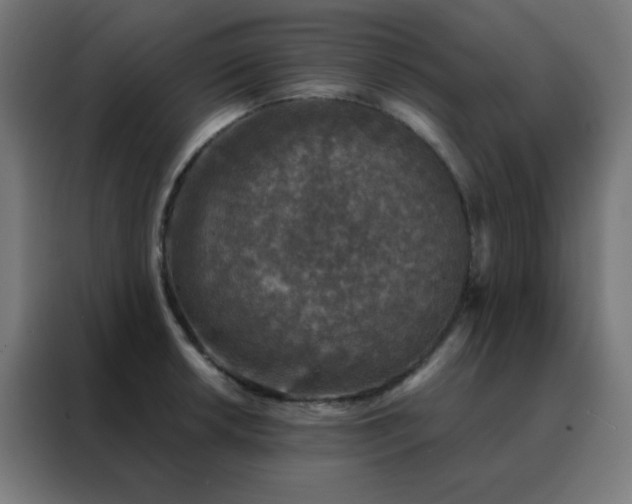 X0000088221042200705221759