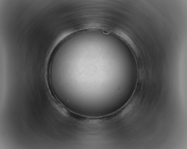 X0000088221043200705221759