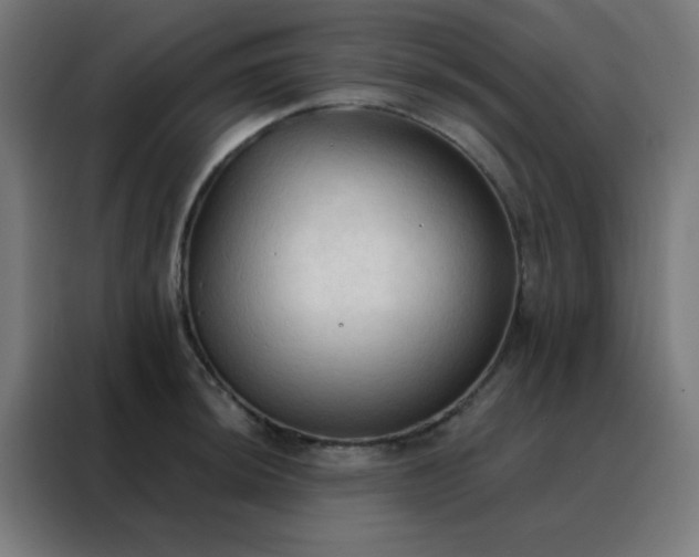 X0000088221044200705221759