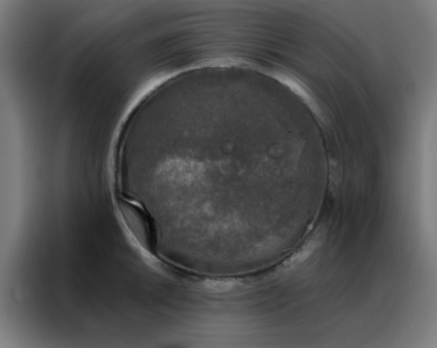 X0000088221046200705221759