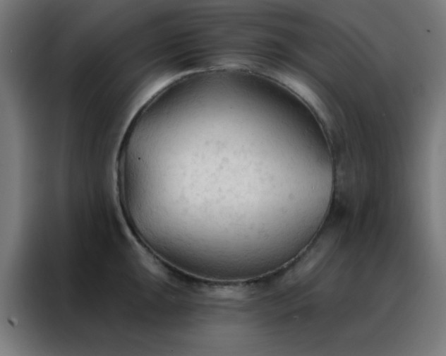 X0000088221047200705221759