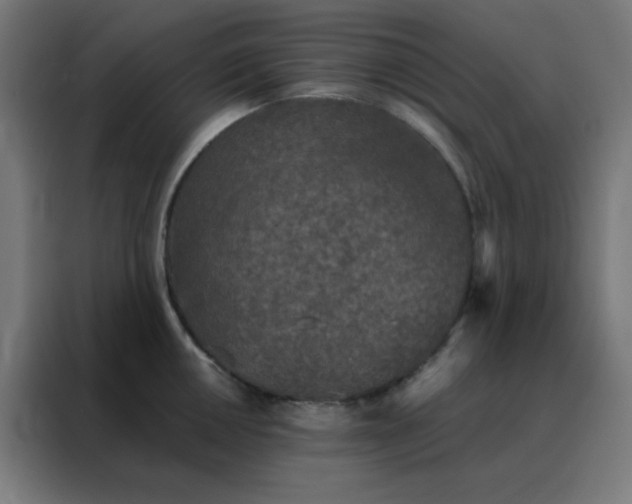 X0000088221050200705221800