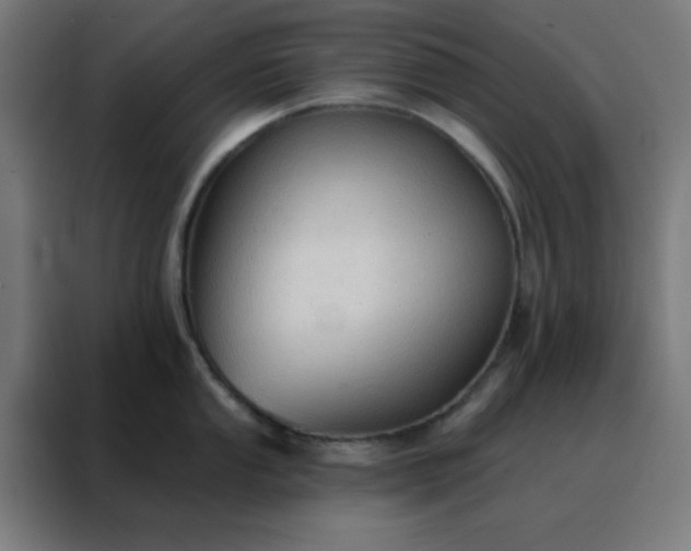 X0000088221053200705221800