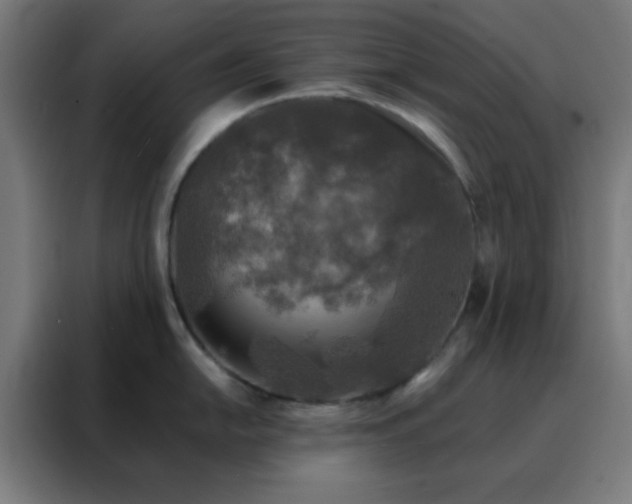 X0000088221054200705221800