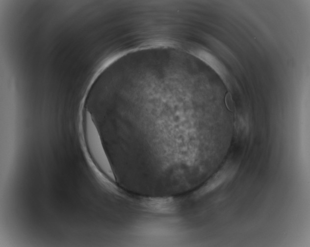 X0000088221055200705221800