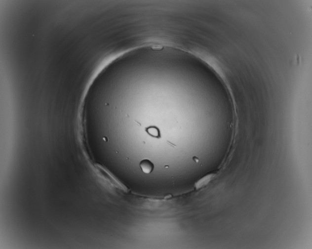 X0000088221056200705221800