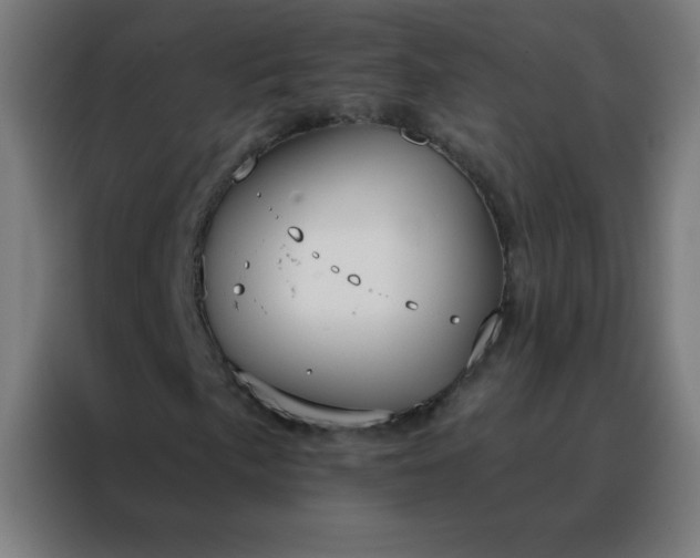 X0000088221057200705221759