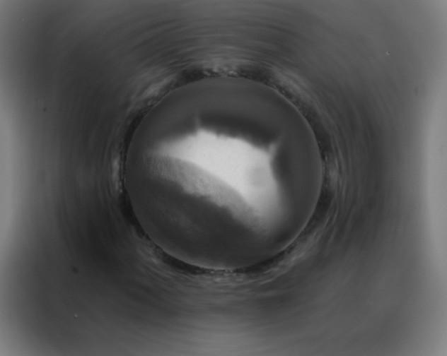 X0000088221060200705221759