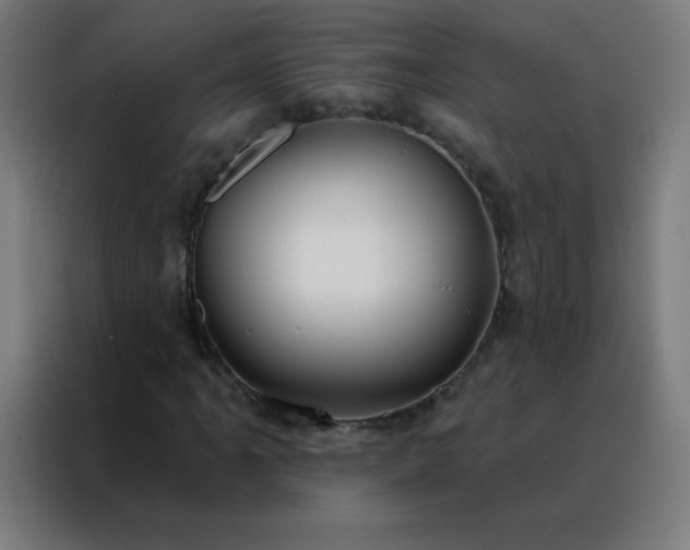 X0000088221061200705221759