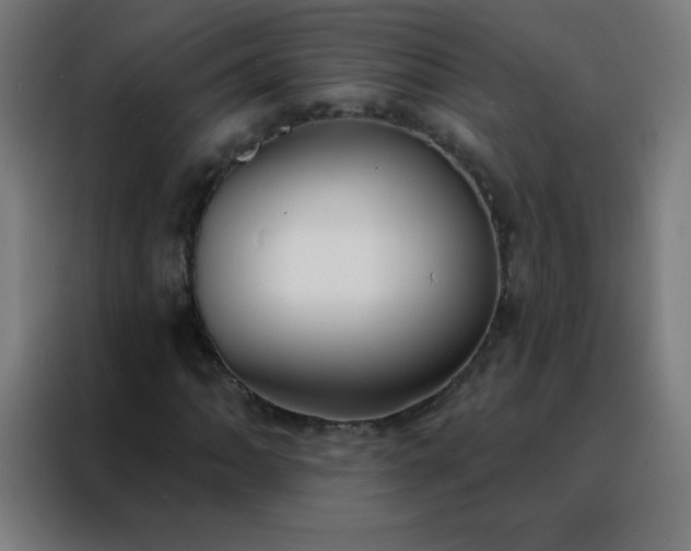 X0000088221062200705221759