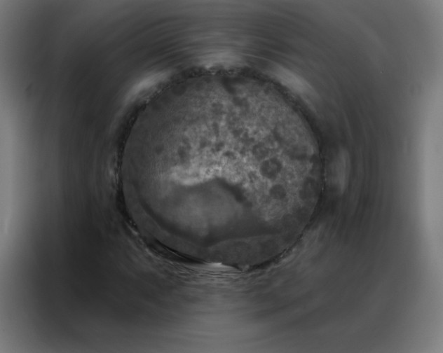 X0000088221063200705221759