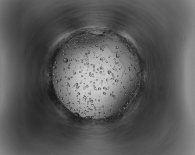 X0000088221064200705221759