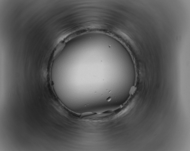 X0000088221065200705221759