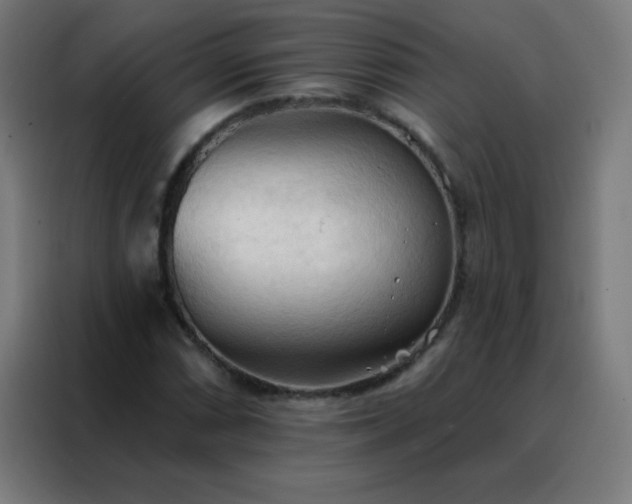 X0000088221066200705221759