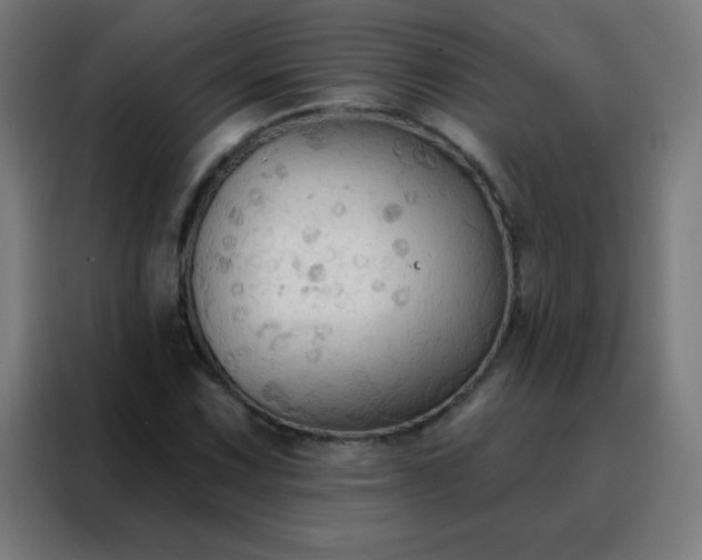 X0000088221067200705221759