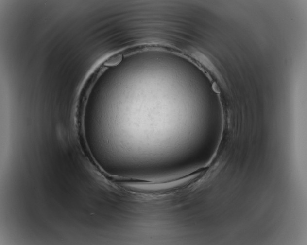 X0000088221068200705221759