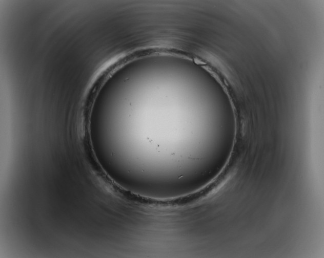 X0000088221069200705221759