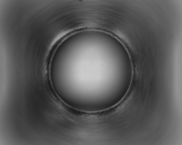 X0000088221070200705221759