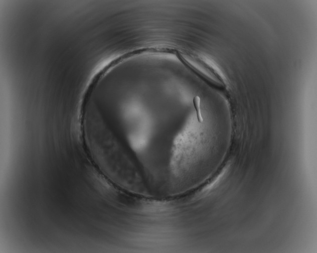 X0000088221071200705221759