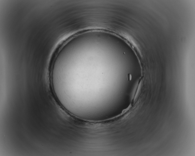 X0000088221072200705221759