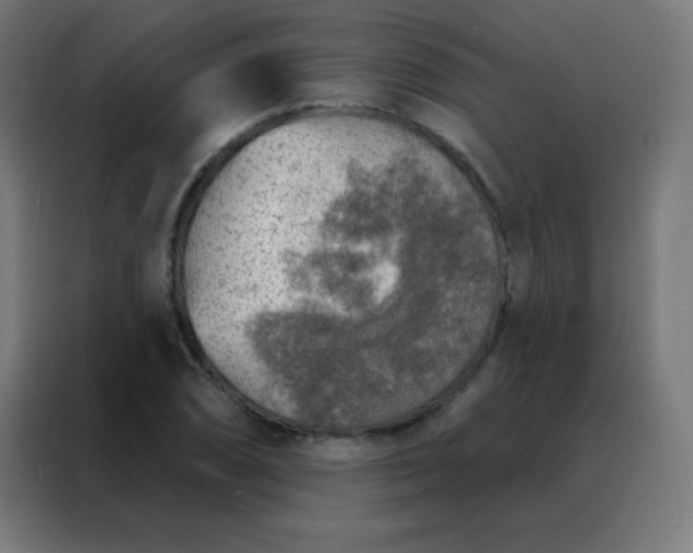 X0000088221074200705221759