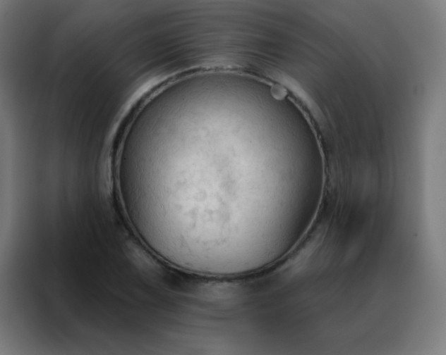 X0000088221075200705221759