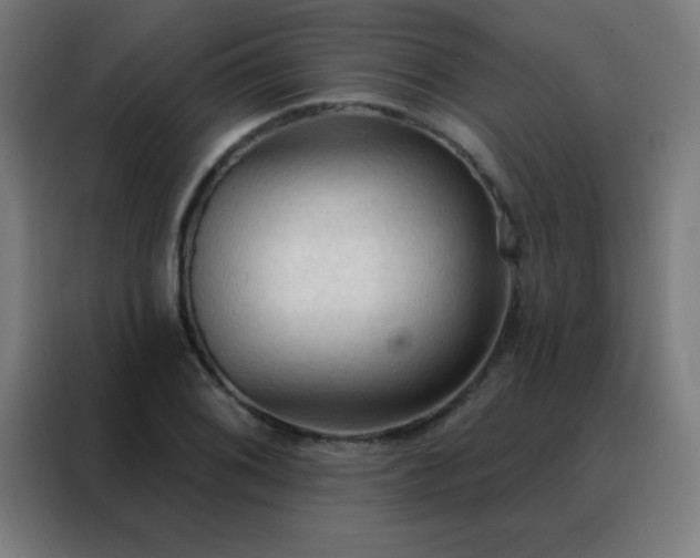 X0000088221076200705221759