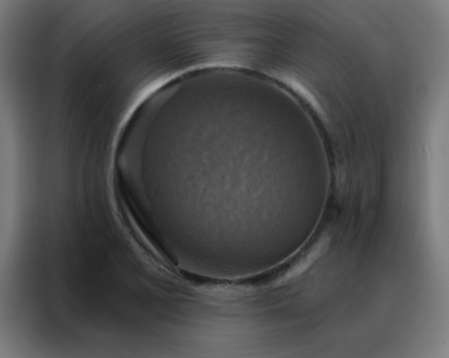 X0000088221077200705221759