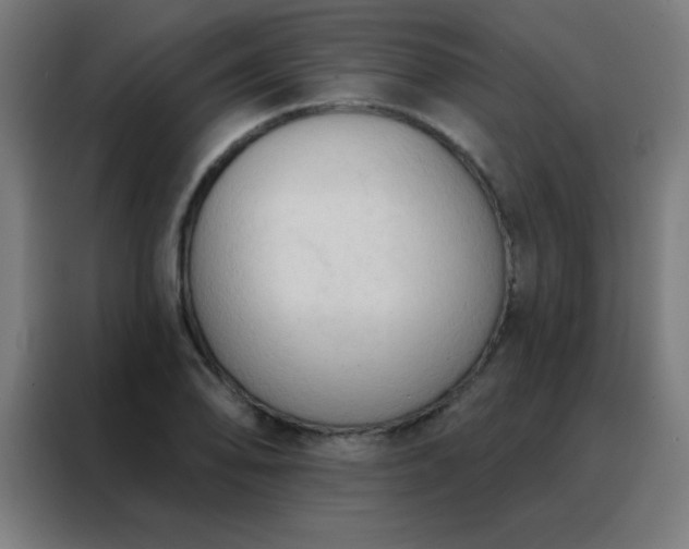 X0000088221078200705221759