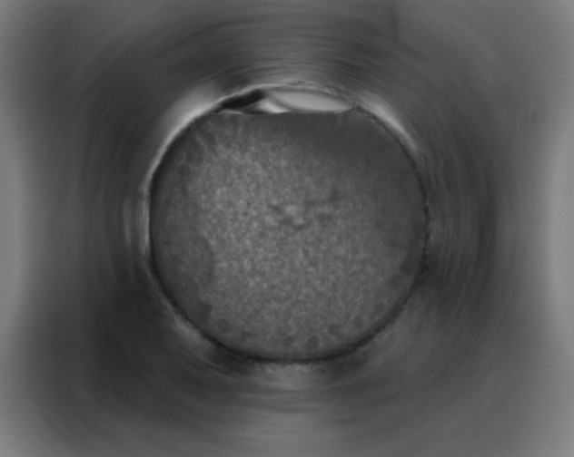 X0000088221079200705221759