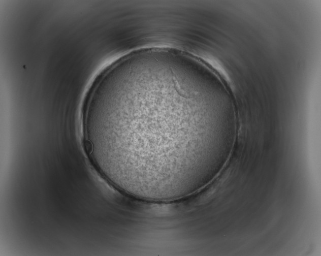 X0000088221080200705221759