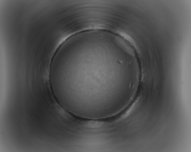 X0000088221081200705221759