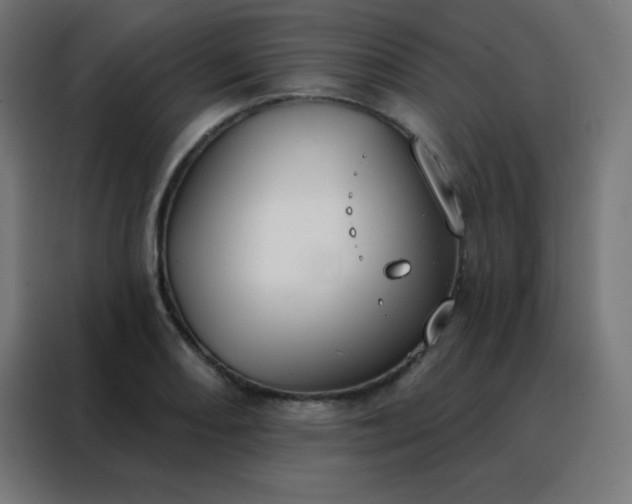 X0000088221082200705221759