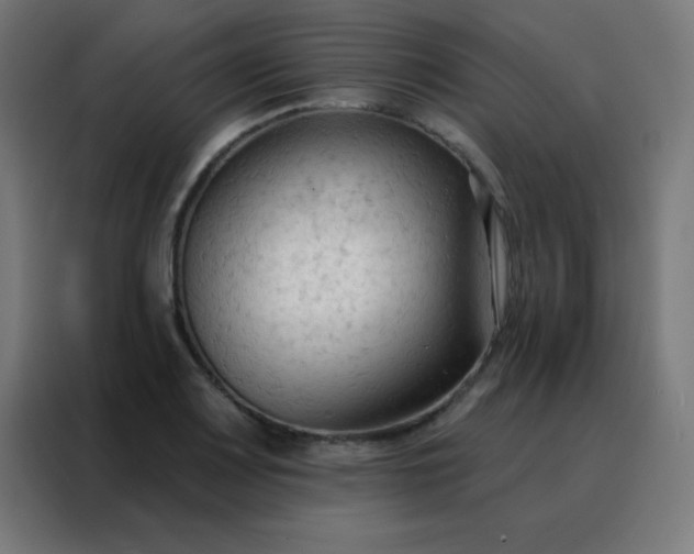 X0000088221083200705221759