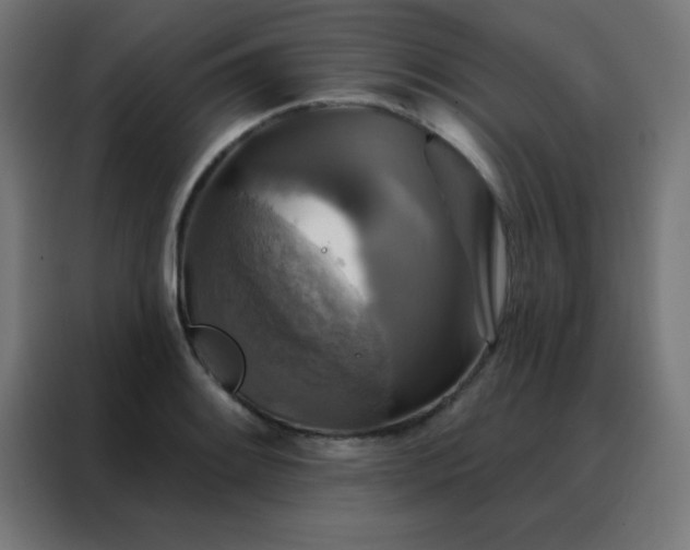 X0000088221084200705221759