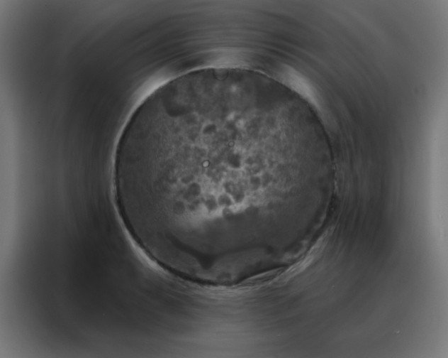 X0000088221087200705221759