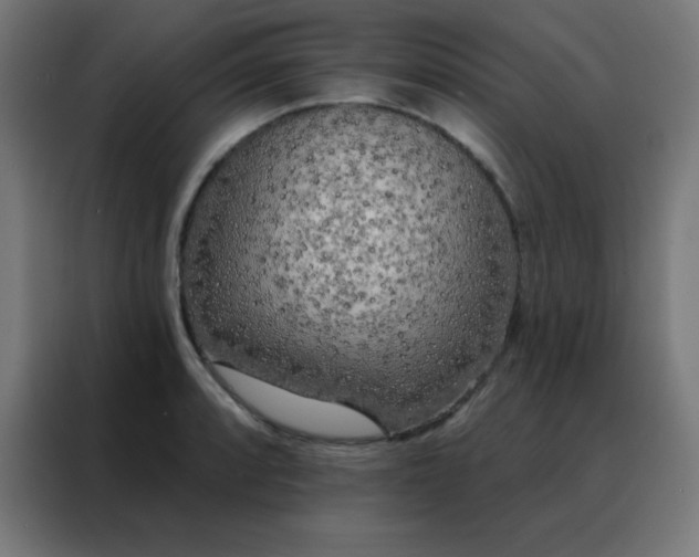 X0000088221088200705221759