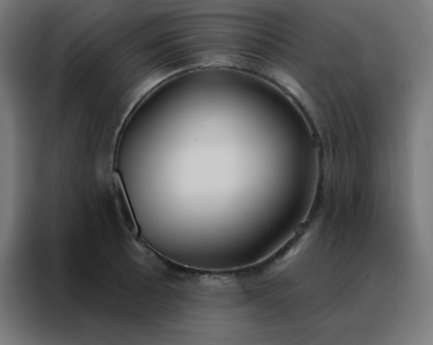 X0000088221089200705221759