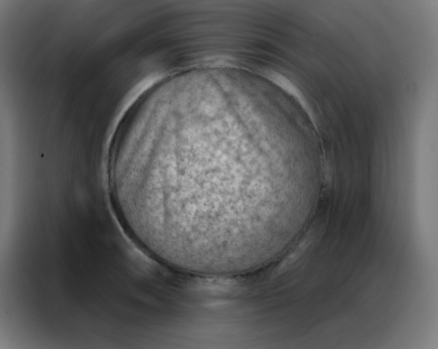 X0000088221090200705221759