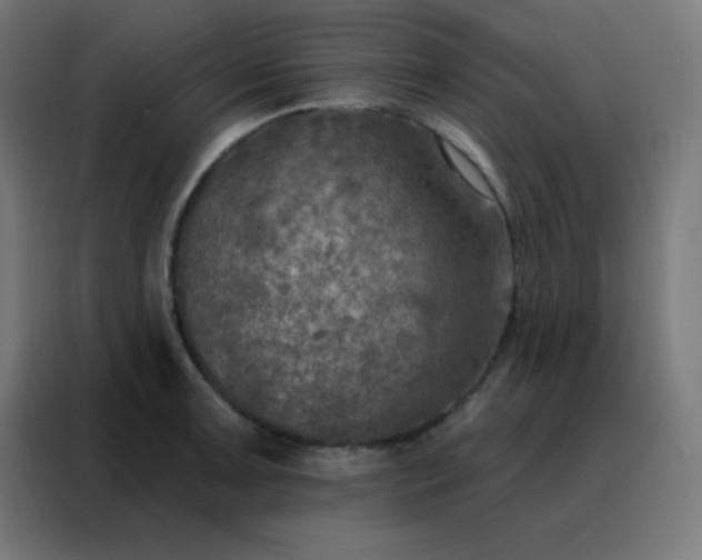 X0000088221091200705221759