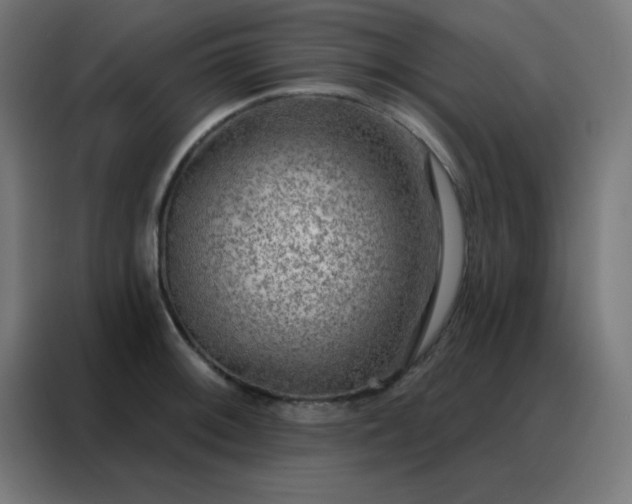 X0000088221092200705221759