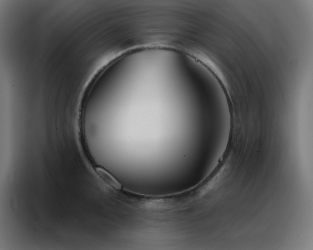 X0000088221093200705221759